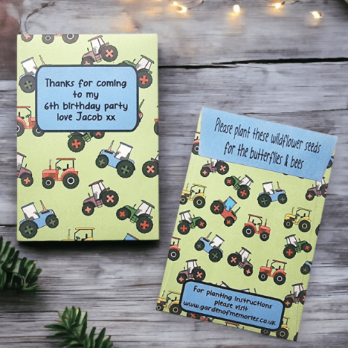 boys birthday party favours