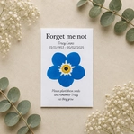single forget me not seed packet